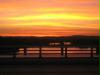 Sonnenuntergang Congress Bridge